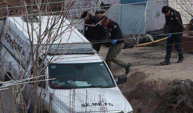 Activistas hallaron cinco restos óseos en fosa clandestina en Ciudad de México