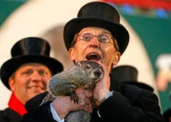 EEUU celebra hoy el tradicional el Día de la Marmota