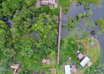 La malaria avanza entre los yanomami: brote deja más de 85 muertos en Amazonas