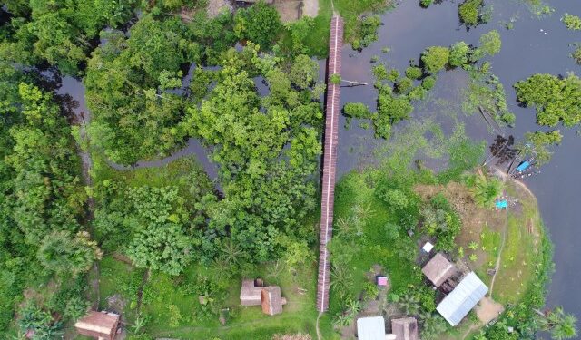 La malaria avanza entre los yanomami: brote deja más de 85 muertos en Amazonas