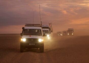 Aumenta la indignación en Nueva York por casos de agentes de policía agredidos, al parecer a manos de indocumentados.