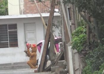 Policía del amor: agente de Perú se disfraza de oso gigante de San Valentín para detener a delincuente (Imágenes)