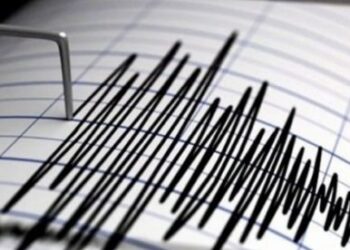 Sismo de magnitud 4.4 sacude la provincia amazónica de Ecuador