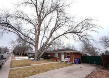 Macabro hallazgo en Colorado: encuentran cadáver y 30 restos cremados en una carroza fúnebre