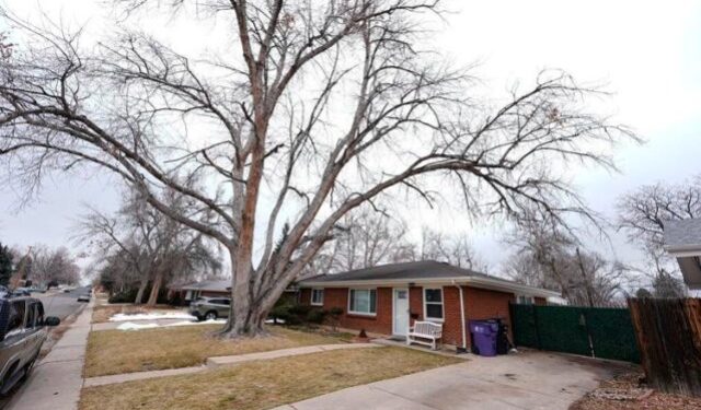 Macabro hallazgo en Colorado: encuentran cadáver y 30 restos cremados en una carroza fúnebre
