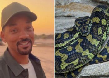 Will Smith ayudó a descubrir la anaconda más grande del mundo en el Amazonas