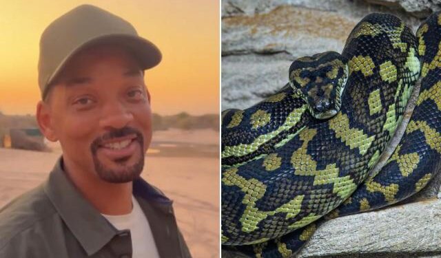 Will Smith ayudó a descubrir la anaconda más grande del mundo en el Amazonas