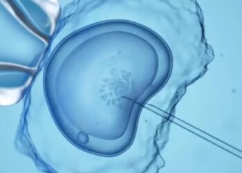 Lo que significa el fallo del Tribunal Supremo de Alabama sobre la fecundación in vitro