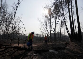 Detenidas dos personas en Viña del Mar por su presunta responsabilidad en los incendios