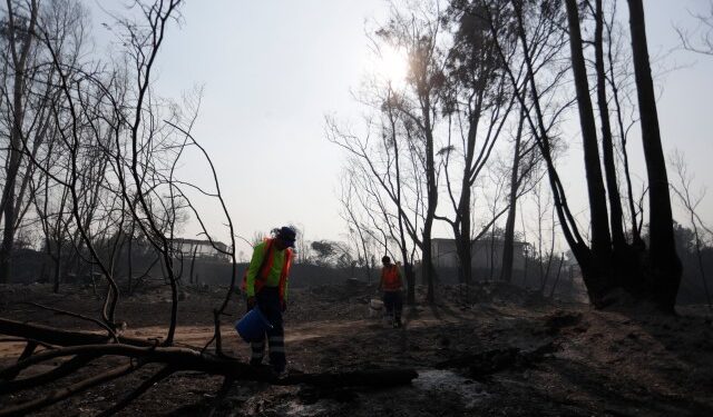 Detenidas dos personas en Viña del Mar por su presunta responsabilidad en los incendios