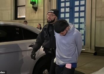 Lo que se sabe de los migrantes venezolanos que fueron detenidos por ola de robos en Nueva York