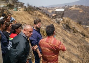 Chile aún evalúa qué tipo de ayuda internacional puede necesitar por los incendios
