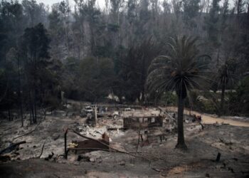 Tragedia en Chile: aumentaron a 99 los muertos por infernales incendios forestales