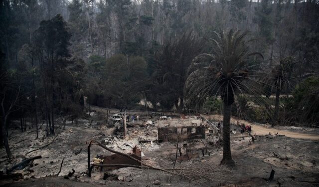 Tragedia en Chile: aumentaron a 99 los muertos por infernales incendios forestales
