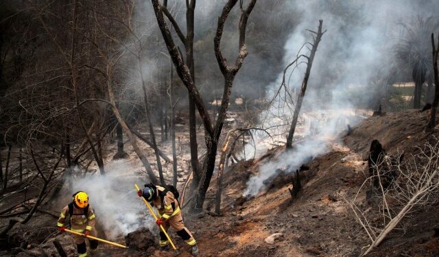 “Mis vecinas quedaron calcinadas”, el horror desde el epicentro de la tragedia en Chile