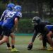 El auge de la NFL en Brasil, un nuevo fútbol en la tierra de Pelé