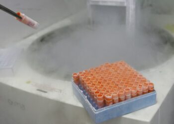 Trump pidió proteger la fecundación in vitro tras polémica decisión de un tribunal de Alabama