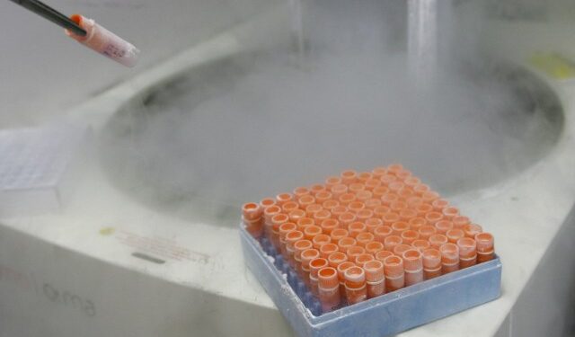 Trump pidió proteger la fecundación in vitro tras polémica decisión de un tribunal de Alabama