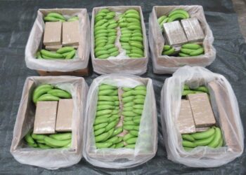 Incautación récord de 5,7 toneladas de cocaína en Reino Unido