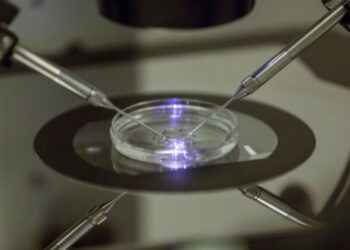 Corte Suprema de Alabama dicta que embriones congelados ahora son niños, poniendo en riesgo la fecundación in vitro