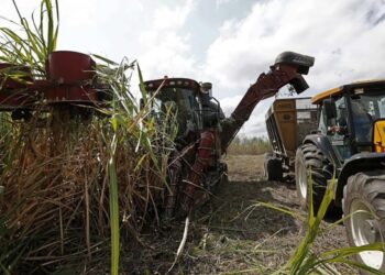 Producir azúcar en Venezuela, una carrera de obstáculos: de 16 centrales solo operan cinco