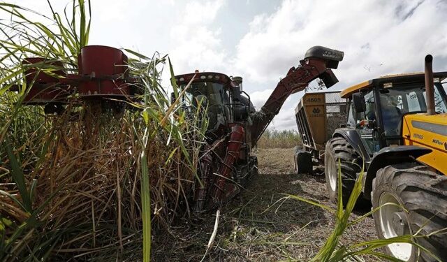 Producir azúcar en Venezuela, una carrera de obstáculos: de 16 centrales solo operan cinco