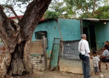 Árbol al borde del colapso pone en riesgo a vecinos del sector 19 de Marzo en Apure
