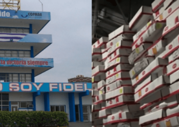 Se robaron más de 130 toneladas de pollo en una empresa del régimen mientras Cuba pasa hambre