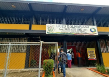 Emergencia en Guasdualito: abejas picaron a decenas de alumnos y profesores en un liceo