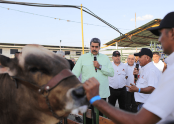 Maduro aplaudió firma del documento que pretende ajustar las elecciones presidenciales a su medida