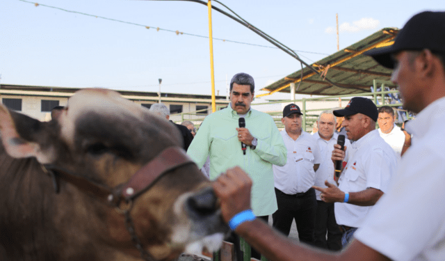 Maduro aplaudió firma del documento que pretende ajustar las elecciones presidenciales a su medida