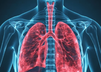 Cuáles son los beneficios inmediatos de dejar de fumar en el organismo