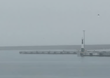 Movilización de buques en el Puerto de La Guaira está lejos de sus niveles históricos