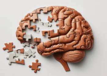 Cuándo un olvido es normal y en qué casos conviene consultar con un médico