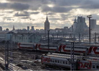 Lo que la muerte de un gato revela sobre la indignación pública en Rusia