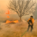 Texas, en estado de emergencia ante el segundo mayor incendio de su historia