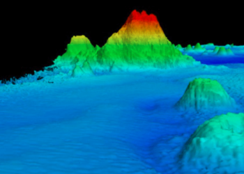 Las fotos que muestran criaturas marinas nunca antes vistas viviendo en una montaña