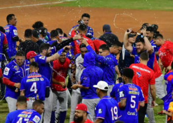 Lvbp: ¿Qué pieza de otros equipos le funcionaría a Tiburones de La Guaira para la temporada 2024-2025?