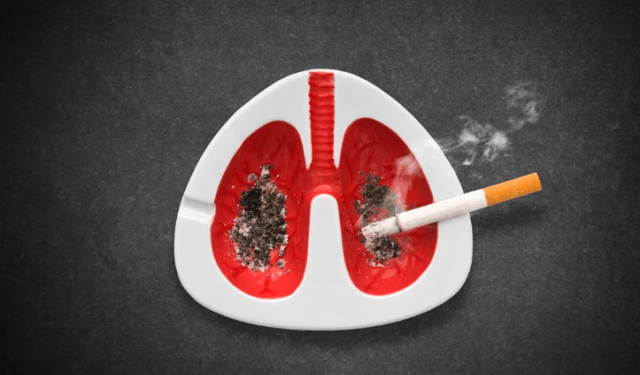 Los cuatro hábitos que limpian los pulmones de los fumadores