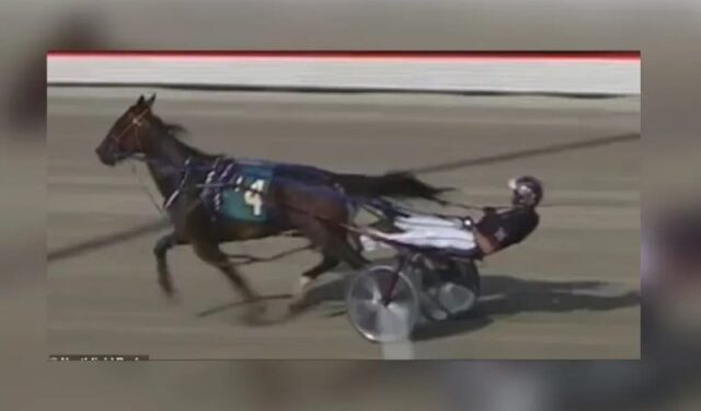 Polémica en EEUU: caballo de carreras dio positivo a metanfetamina tras ganar… ¿qué pasará con el entrenador?