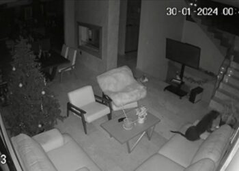 Hombre “escucha hablar” a su perra y sale corriendo del miedo, todo quedó grabado en VIDEO