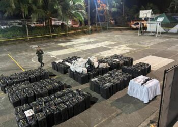Incautan más de 5 toneladas de cocaína del Clan del Golfo en el noroeste de Colombia (FOTOS)