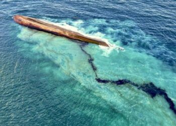 Chavismo se ofreció a cooperar con Trinidad y Tobago tras grave derrame petrolero en sus costas