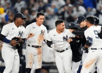 Nueve talentos venezolanos buscarán cupo con los “Mulos del Bronx”