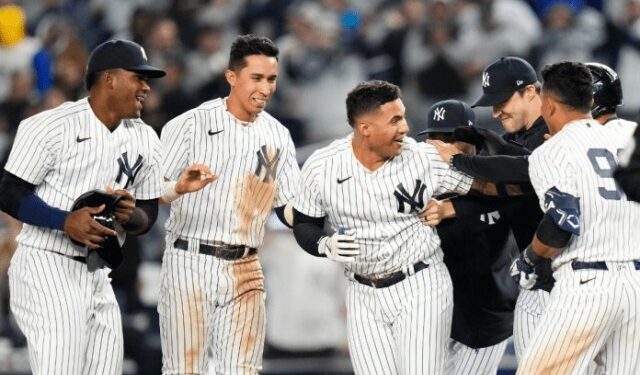 Nueve talentos venezolanos buscarán cupo con los “Mulos del Bronx”