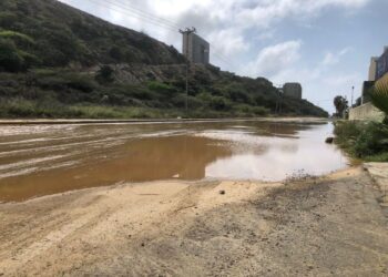 Bajo aguas estancadas y abandono gubernamental: así se encuentra esta popular avenida en Catia La Mar (Imágenes)