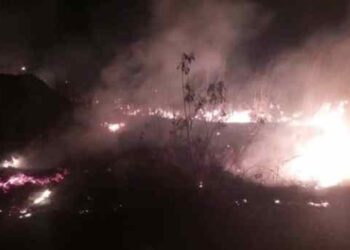 Bomberos de Barinas fueron a apagar un incendio en Ciudad Varyná y los agarraron a “bombazos” de carnaval