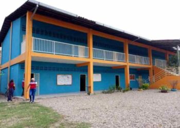 Nidos de palomas obligaron a cerrar al menos 14 aulas de la escuela Juan Pablo II en Barinas