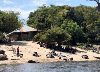 Struggle of powers and anarchy: the origin of the tragedy in the La Paragua mine in southern Venezuela