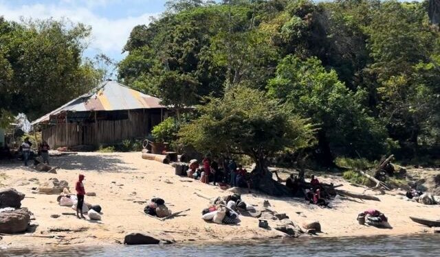 Struggle of powers and anarchy: the origin of the tragedy in the La Paragua mine in southern Venezuela